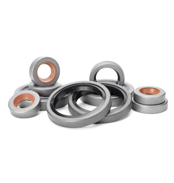 Oil Seals